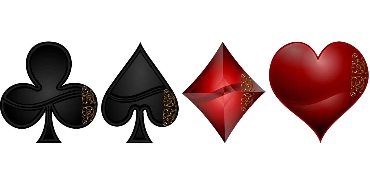金洪俊的最新动态与成就概览